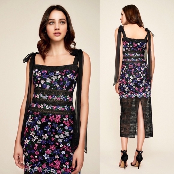 Tadashi Shoji Fletcher Embroidered Mid-Length Dress - Picture 3 of 13